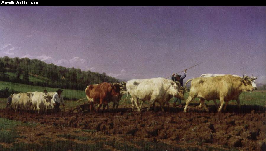 Rosa Bonheur plojning i nivernais